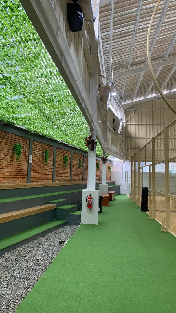 Walkway under the green canopy