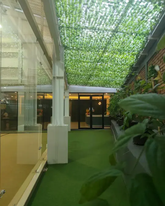 Court beneath the green canopy