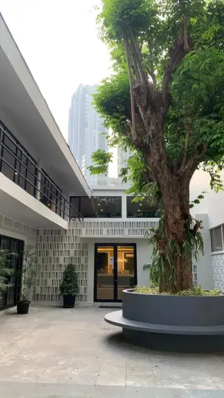 Courtyard with a tree